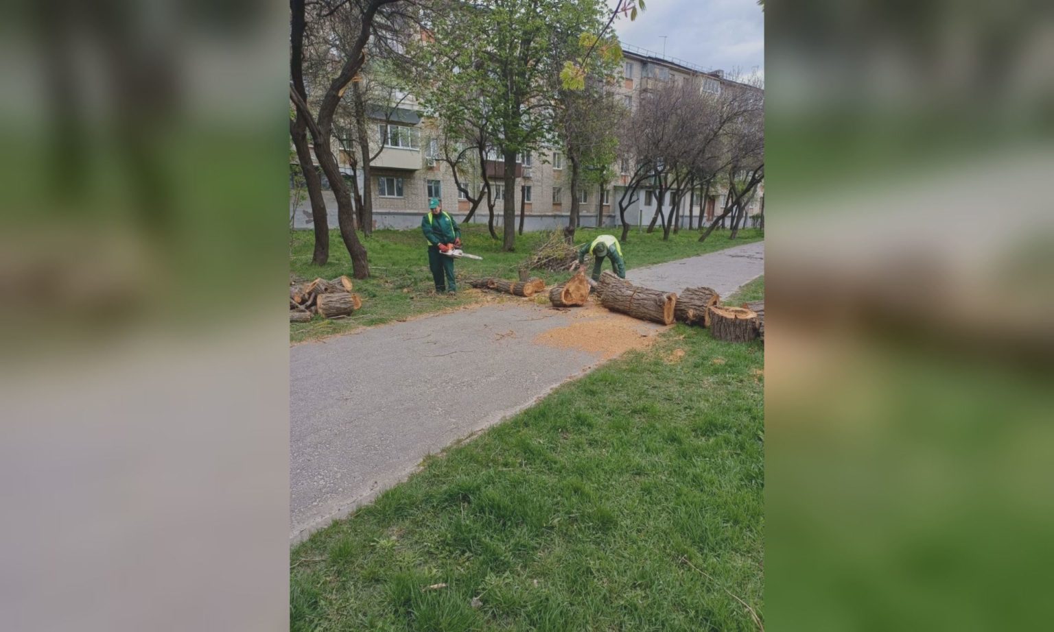 Більше сотні повалених дерев, три тисячі звернень: наслідки шквалу