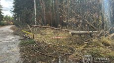 Около 3,5 тысячи абонентов остаются без света после шквала на Харьковщине