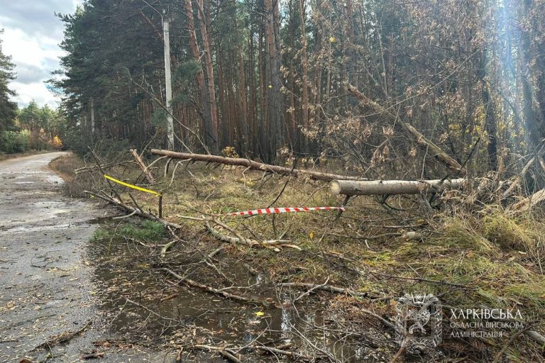 Около 3,5 тысячи абонентов остаются без света после шквала на Харьковщине