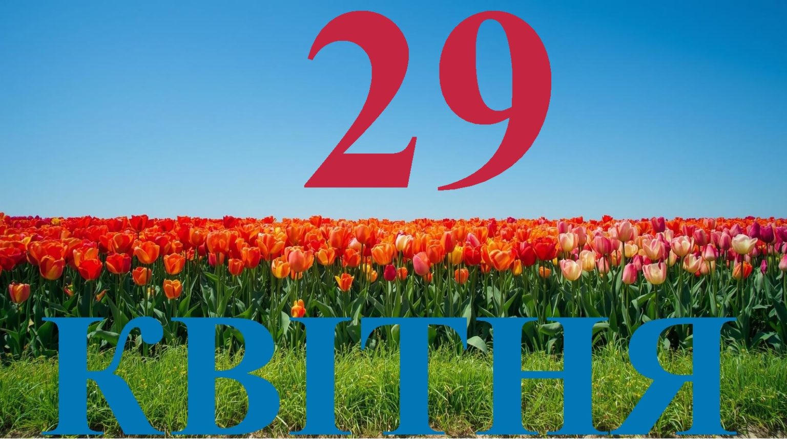 Сегодня 29 апреля 2026: какой праздник и день в истории