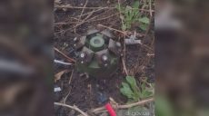 Радиус поражения до 50 м: огородников под Харьковом предупредили об опасности