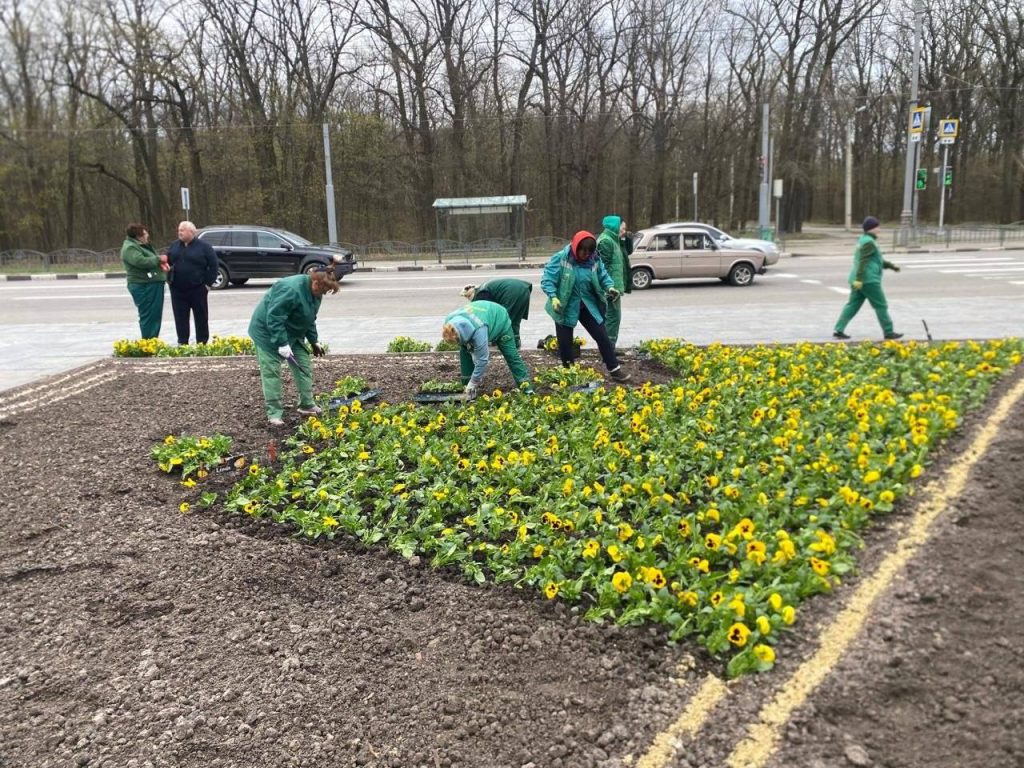 клумбы возле Мемориала Славы