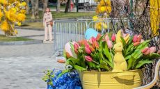 Новости Харькова — главное за 4 апреля: как прошла ночь