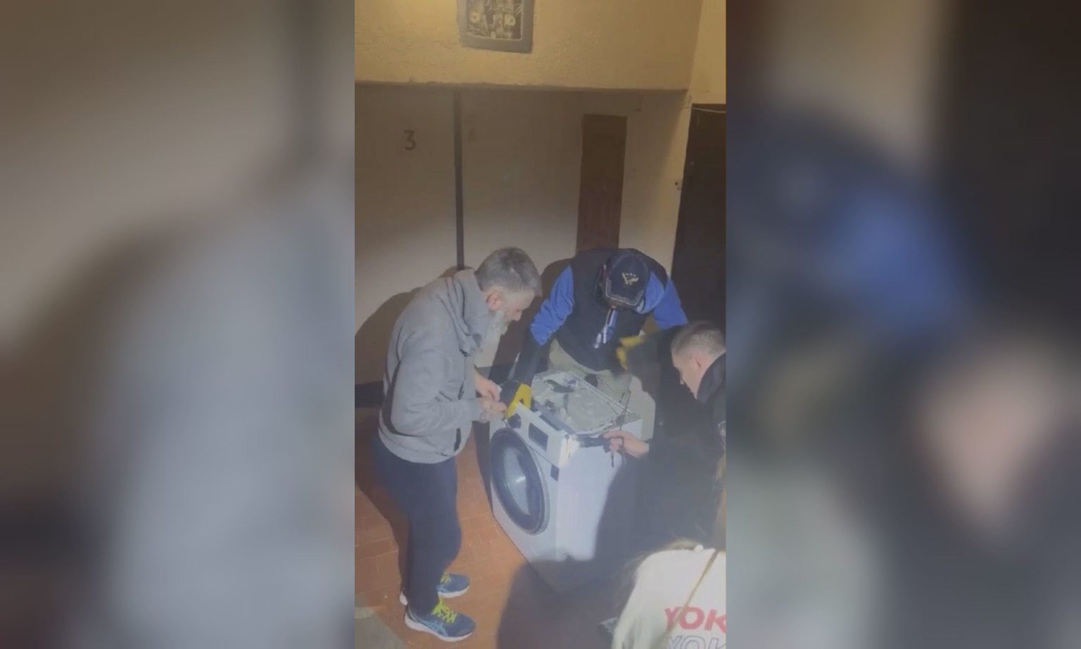 Змею нашли в стиральной машине в Харькове: подробности (фото)