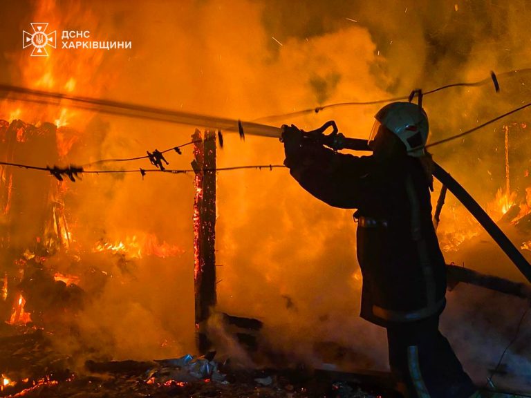 Пожарным удалось спасти дом от возгорания в Чугуевском районе (фото)