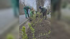 Вдоль велодорожки в Саржином Яру появится ограждение (фото)