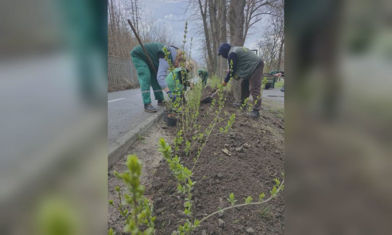Вдоль велодорожки в Саржином Яру появится ограждение (фото)