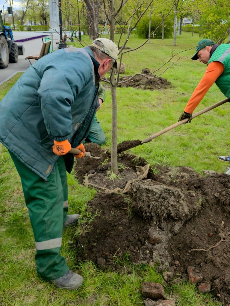 деревья на набережной в Харькове