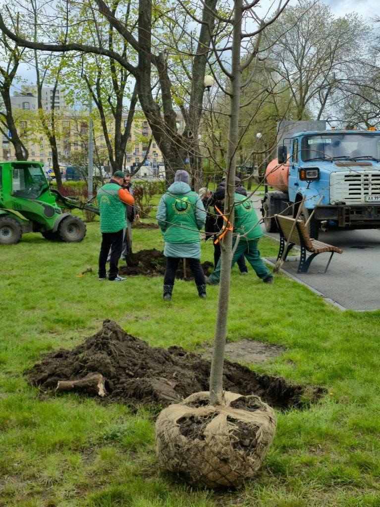 деревья на набережной в Харькове