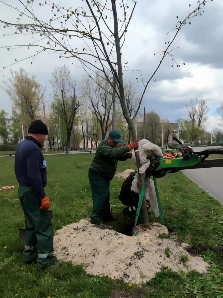 аллея лип в Харькове