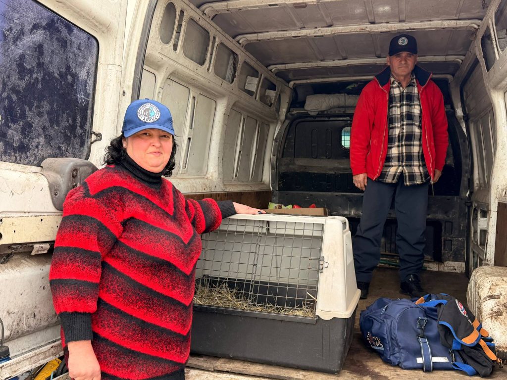 лисят подбросили на Харьковщине