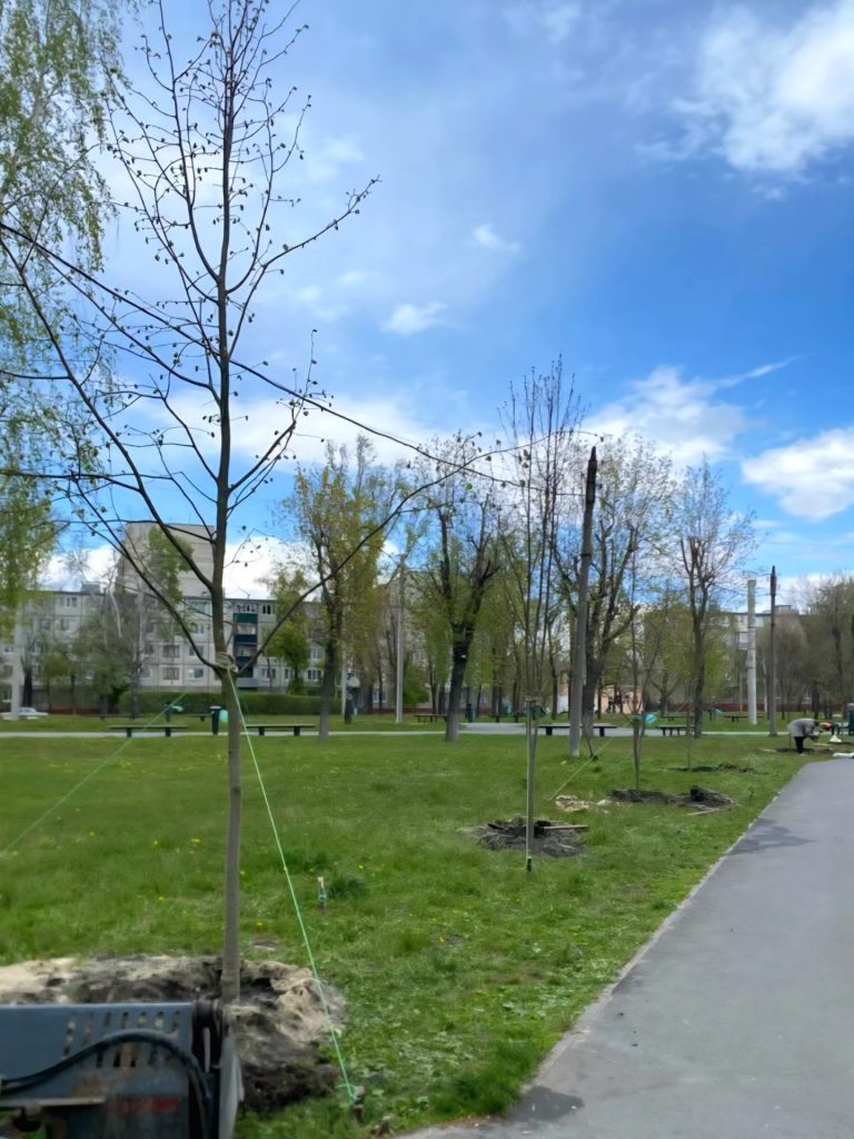 аллея лип в Харькове