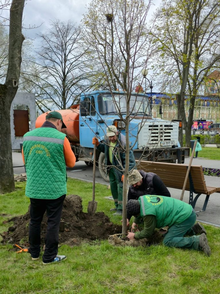 деревья на набережной в Харькове