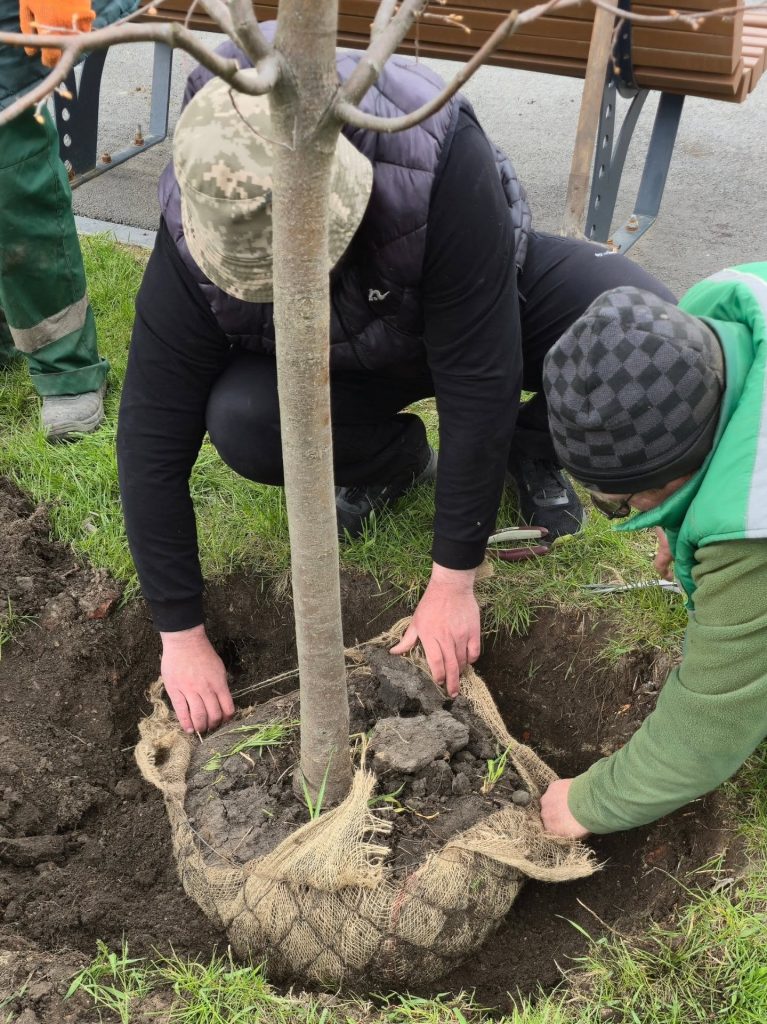 деревья на набережной в Харькове