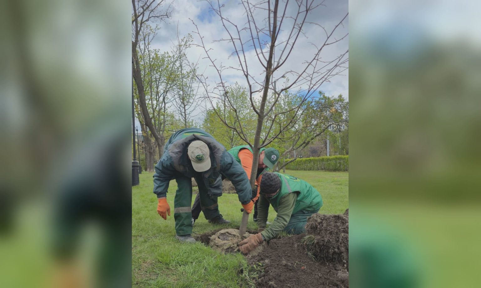 Весна в Харькове: на набережной высаживают деревья, на ХТЗ готовят фонтан 📷