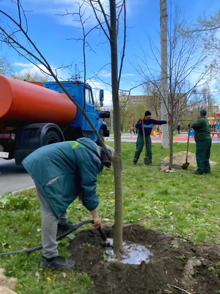 аллея лип в Харькове