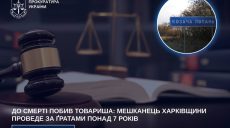 До смерти избил товарища на Харьковщине: мужчина «сядет» на семь лет