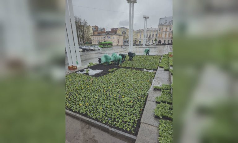 В Харькове — все больше цветов: где высадили тысячи виол (фото)