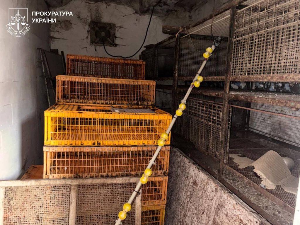 мужчина убил тещу на Харьковщине