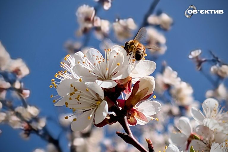 По Харькову били ракеты и БпЛА, где уже хорошая дорога – итоги 25 апреля