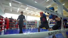 Ринг не прощает ошибок: в Харькове прошел открытый кубок по кикбоксингу