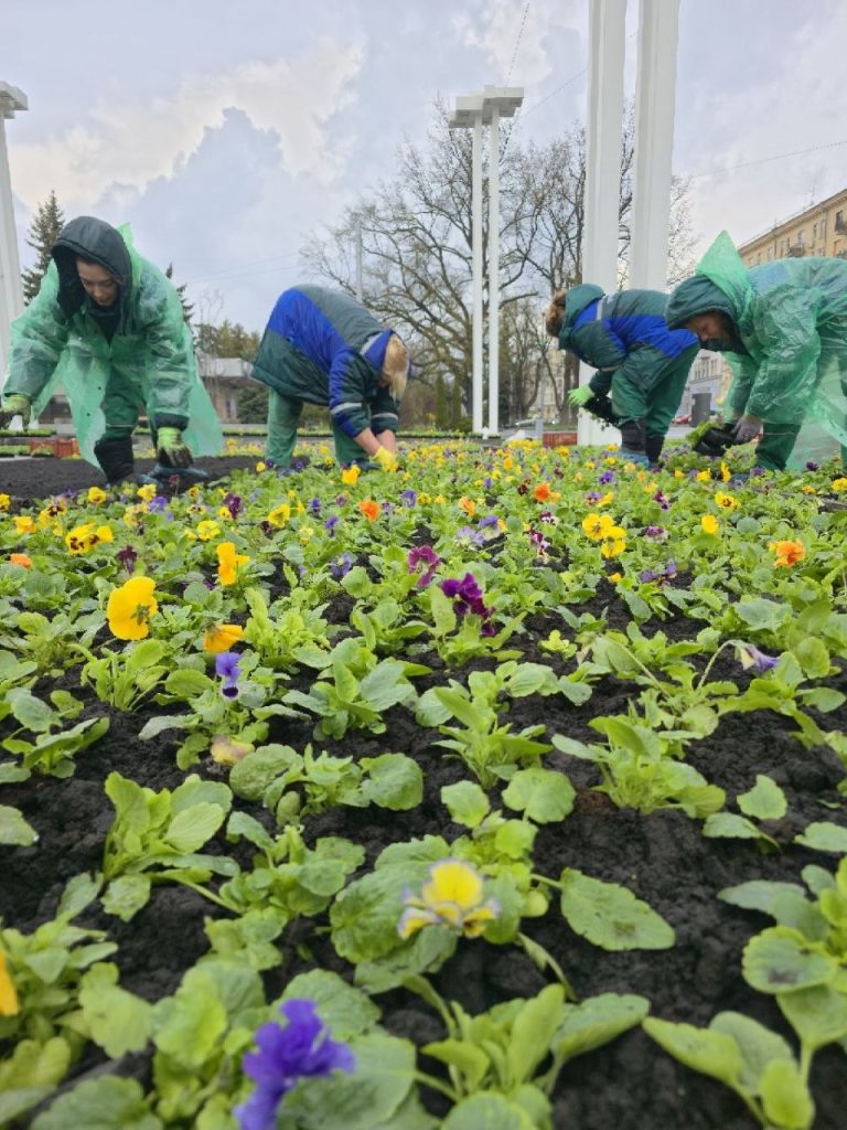 клумба в центре Харькова