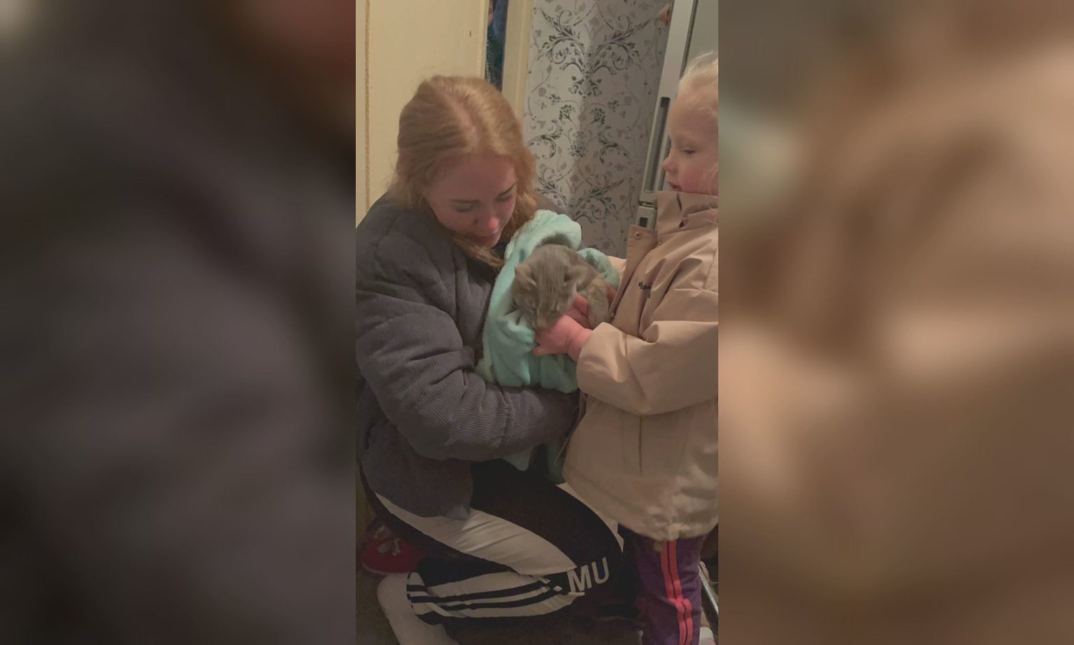 Четверо суток без еды и воды: кота сняли с дерева в Харькове (фото, видео)