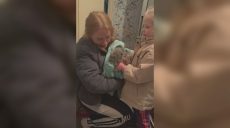 Четверо суток без еды и воды: кота сняли с дерева в Харькове (фото, видео)