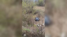 Пьяный водитель слетел в кювет в Харькове – патрульная полиция