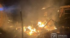 Понад 370 БпЛА атакували Харківщину минулого тижня: наслідки (фото)