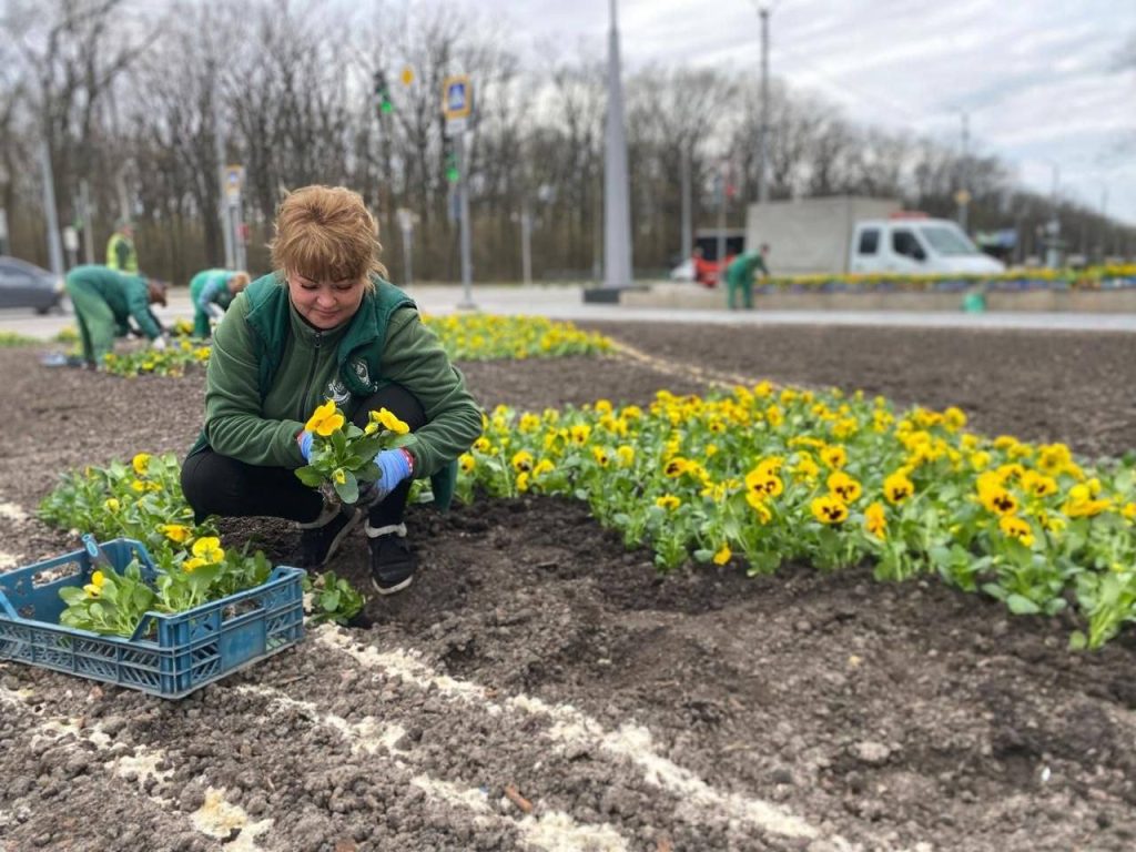 клумбы возле Мемориала Славы