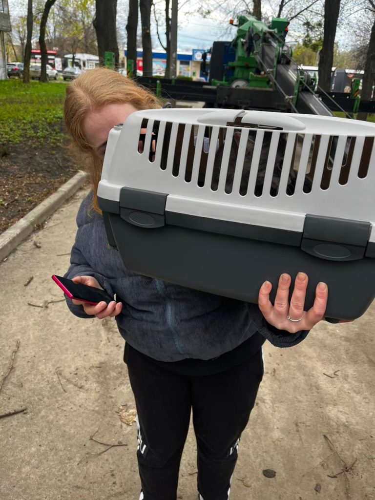кота спасли в Харькове