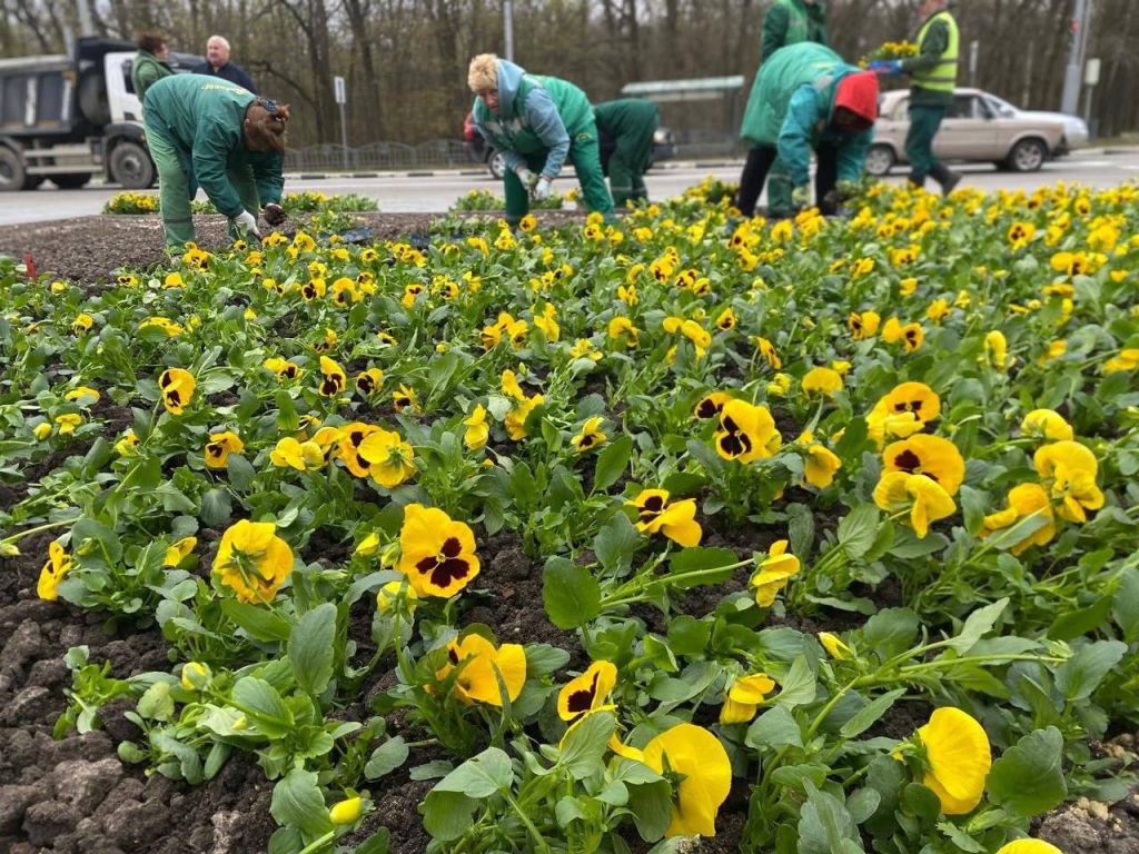 клумбы возле Мемориала Славы