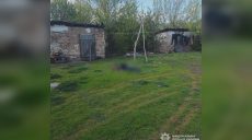Женщина на Харьковщине убила сожителя — полиция выяснила, что произошло