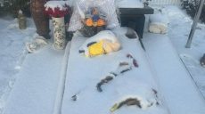 Вандал повредил могилу защитника Украины – полиция ищет злоумышленника