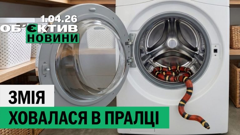 Змея в стиралке и офицер, торговавший «вампирами» – итоги 1 апреля