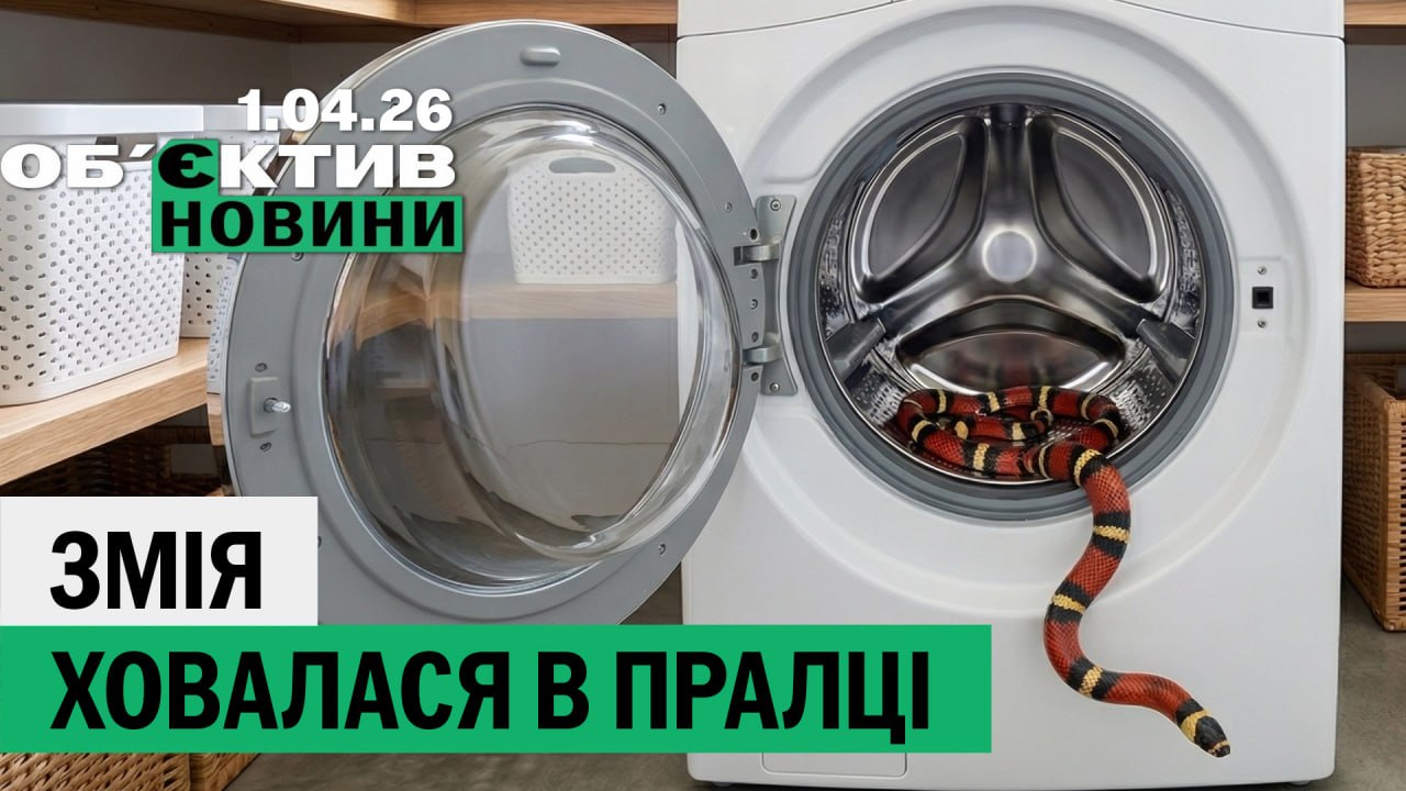 Змея в стиралке и офицер, торговавший «вампирами» – итоги 1 апреля