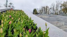 Опасные заморозки и осадки: прогноз погоды в Харькове и области на 22 апреля