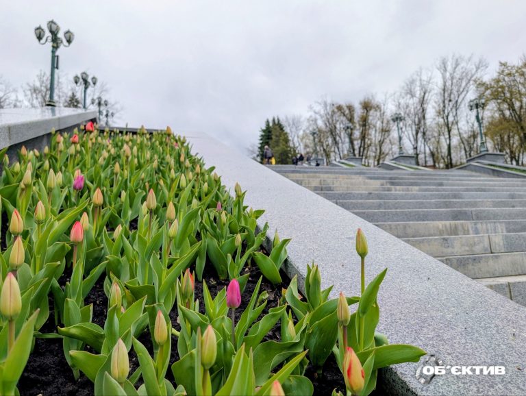 Опасные заморозки и осадки: прогноз погоды в Харькове и области на 22 апреля