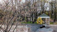 Заморозки, мокрий сніг і шквали: погода в Харкові та області на 24 квітня