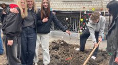 В Харькове появилась новая локация с магнолиями (фото)