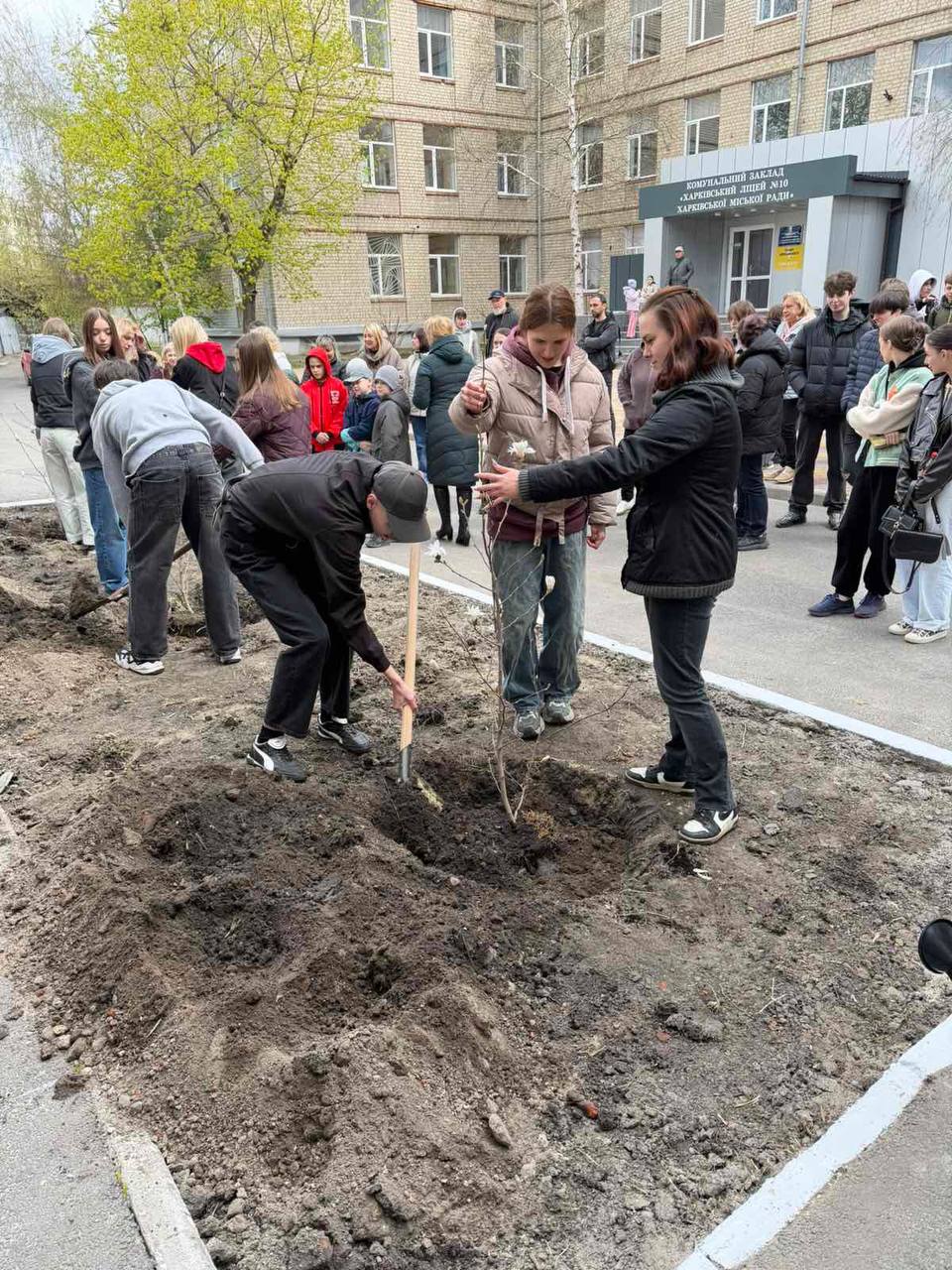 высадили магнолии возле лицея в Харькове 3