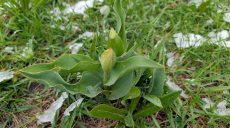 В понедельник в Харькове и области опять будет опасная погода — прогноз