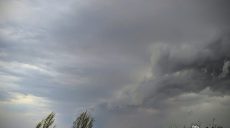 Шквальный ветер срывает крыши и валит деревья в Харькове (фото, видео)