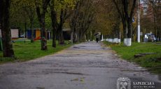 В Харькове — одна пострадавшая из-за шквала: на пенсионерку слетел шифер