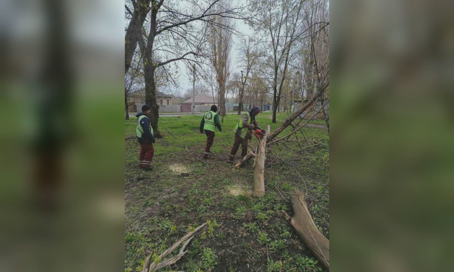 Непогода валила деревья и ломала ветви: последствия сильного ветра в Харькове
