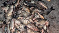 На 300 тысяч гривен наловил рыбы – браконьера задержали в Харьковской области