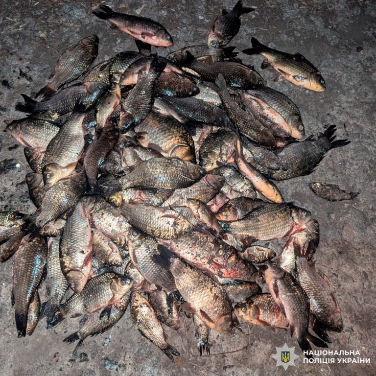 На 300 тысяч гривен наловил рыбы – браконьера задержали в Харьковской области