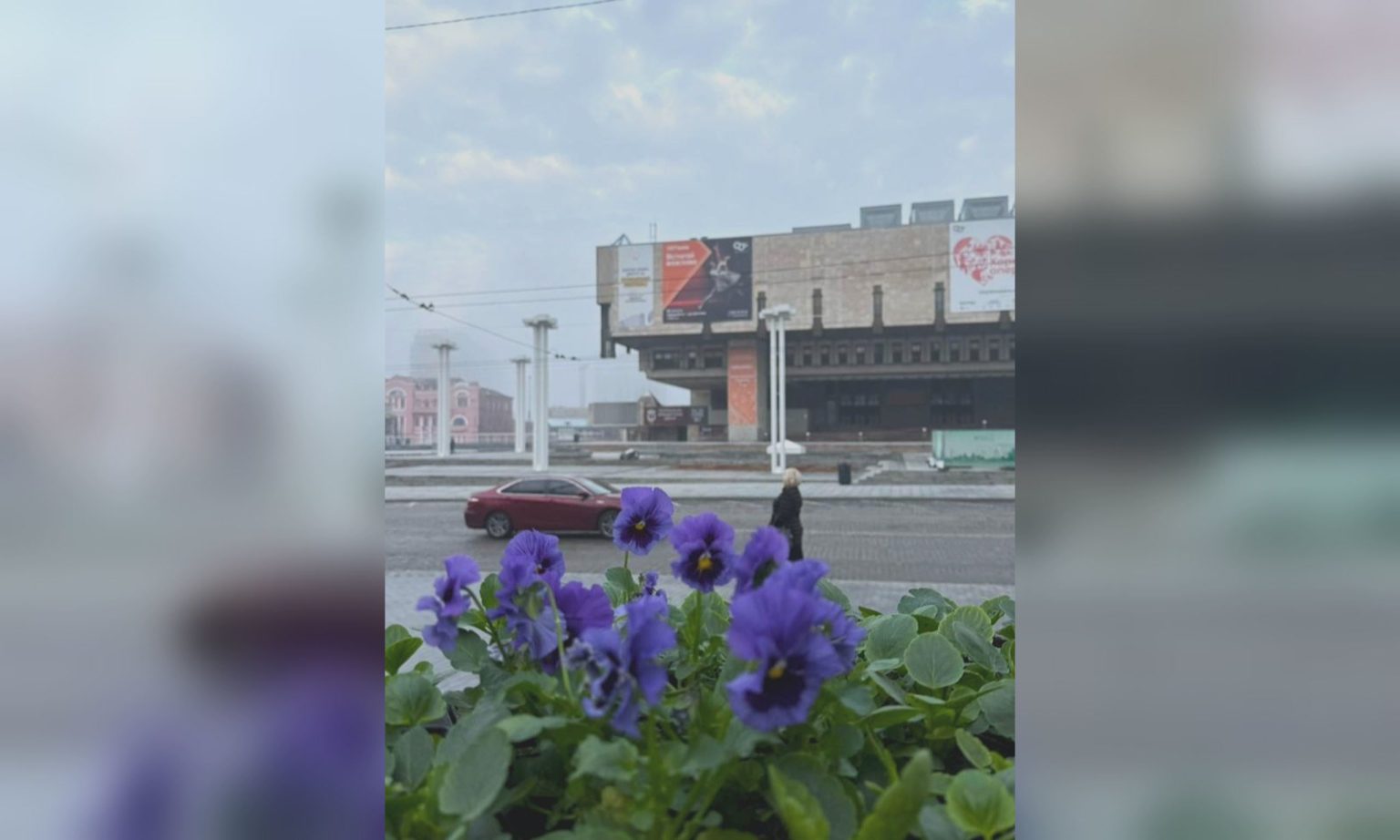 Тысячи виол в центре Харькова и новая клумба у канатной дороги (фото)