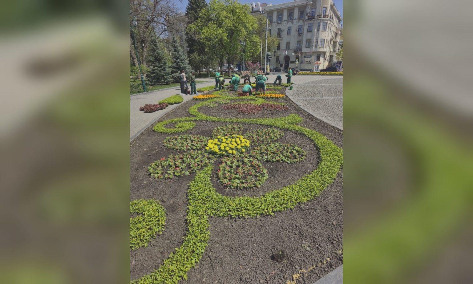 Яркую клумбу создают возле памятника Шевченко в Харькове: что высаживают 📷